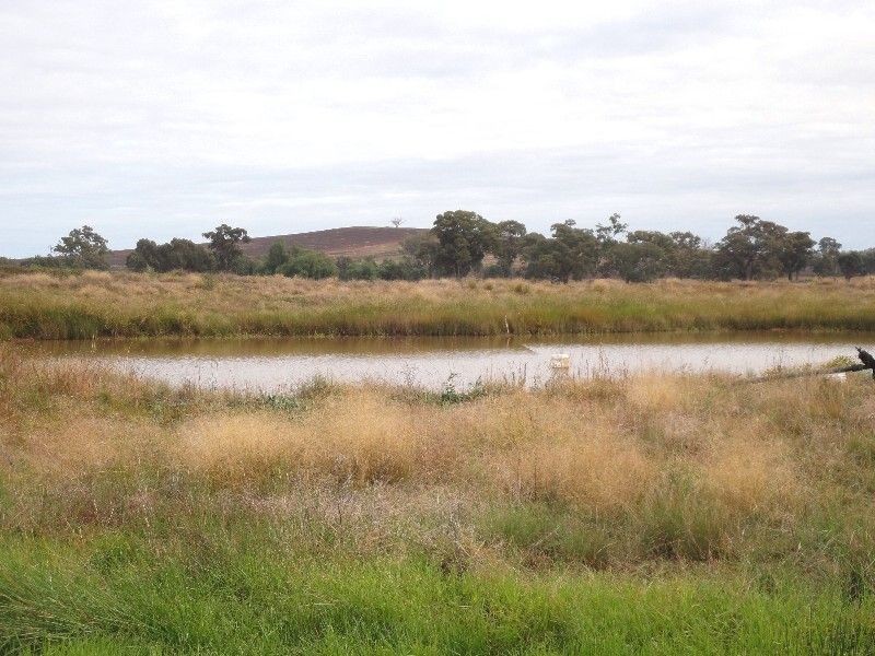 1235 Devenish – Wangaratta Road, Thoona VIC 3726