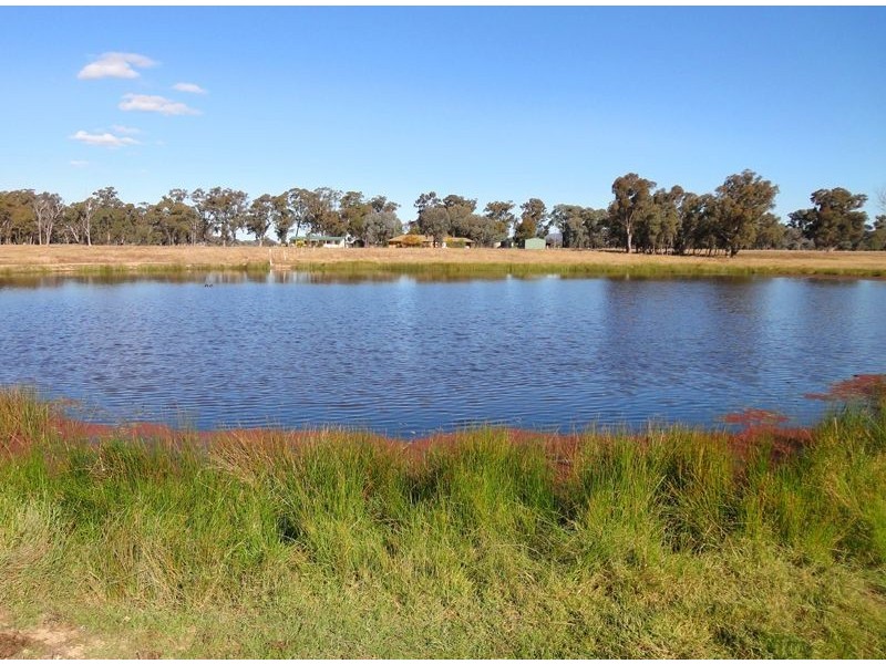 Wangaratta VIC 3677