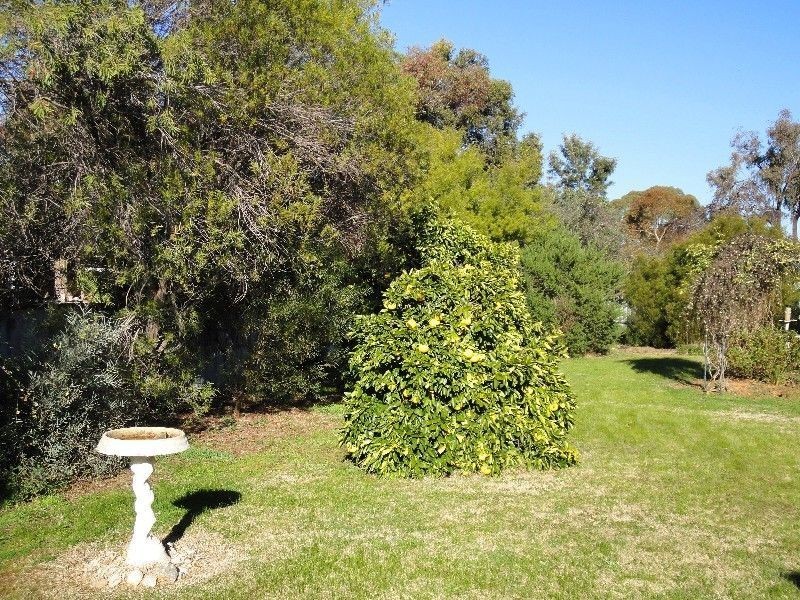Wangaratta VIC 3677
