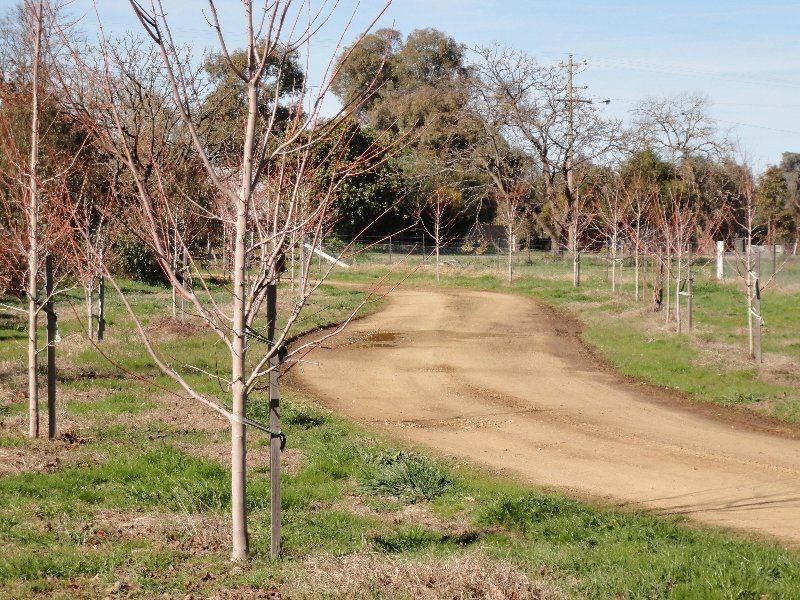 Oxley VIC 3678