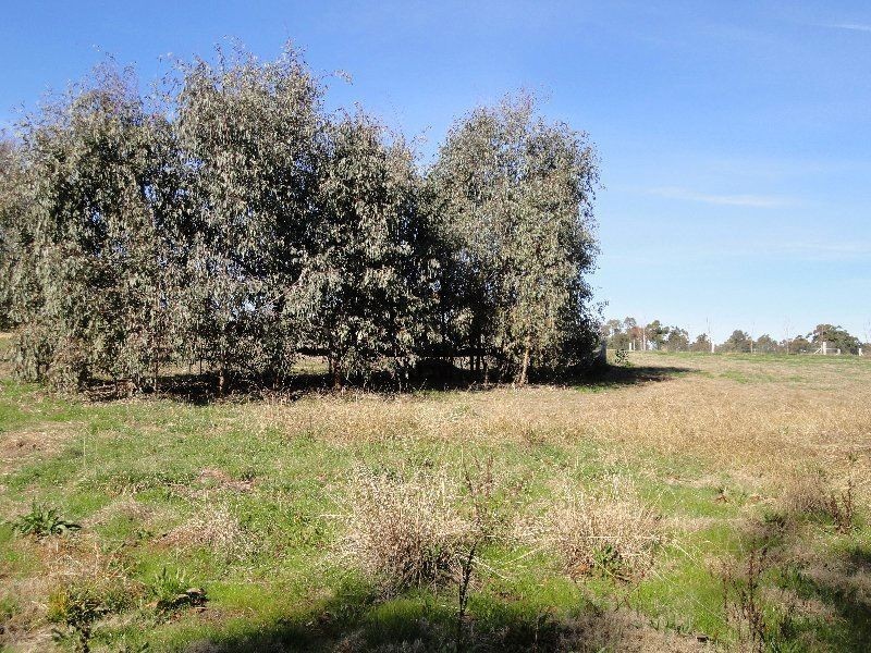 Oxley VIC 3678