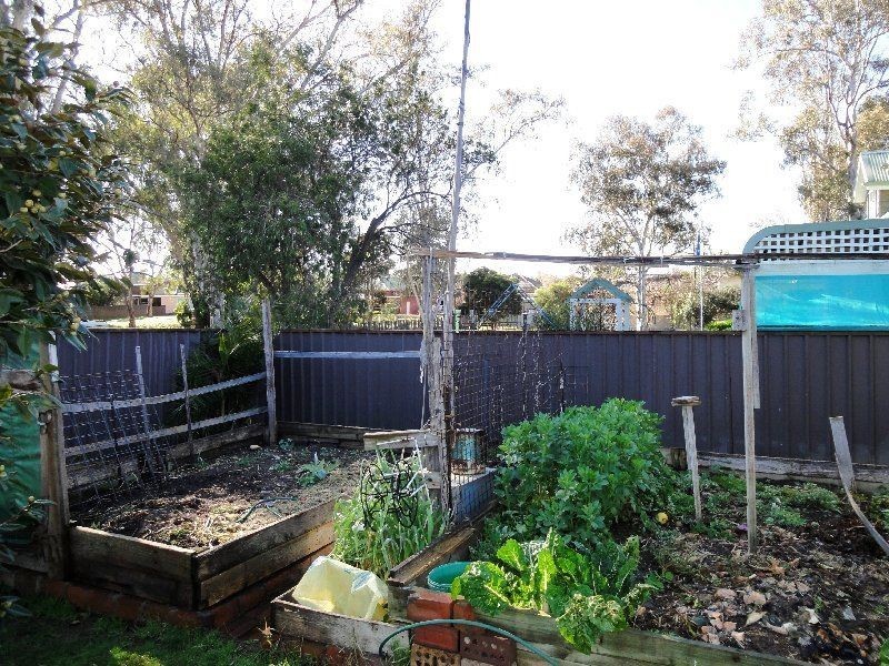 Wangaratta VIC 3677