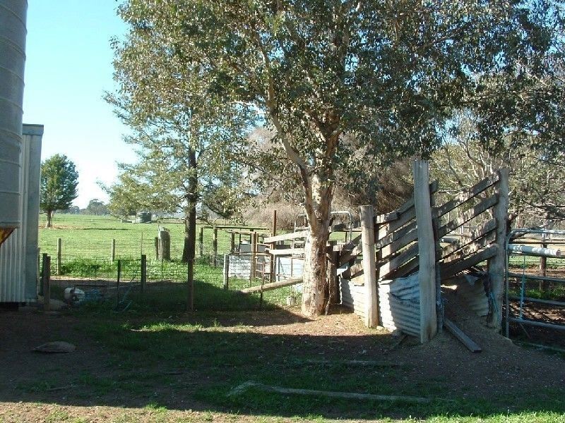 Wangaratta VIC 3677