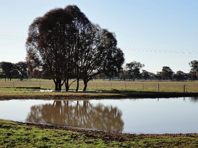 Wangaratta VIC 3677