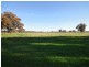Wangaratta VIC 3677