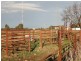 Wangaratta VIC 3677