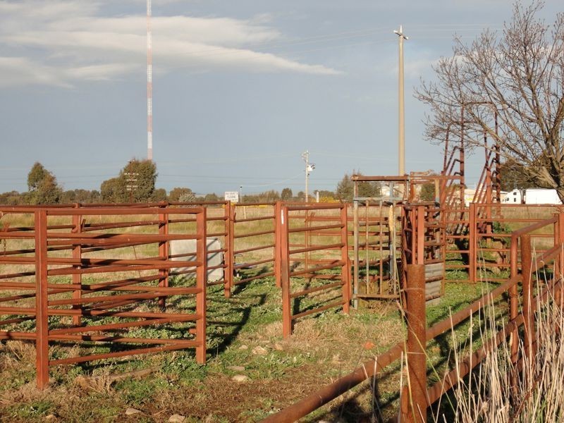 Wangaratta VIC 3677