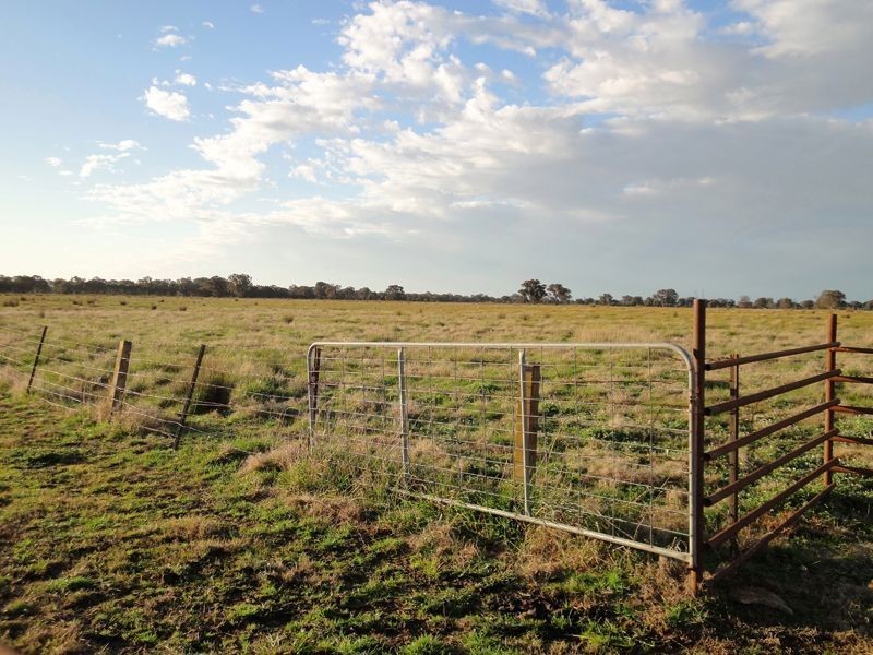 Wangaratta VIC 3677