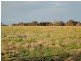Wangaratta VIC 3677