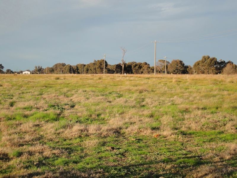 Wangaratta VIC 3677