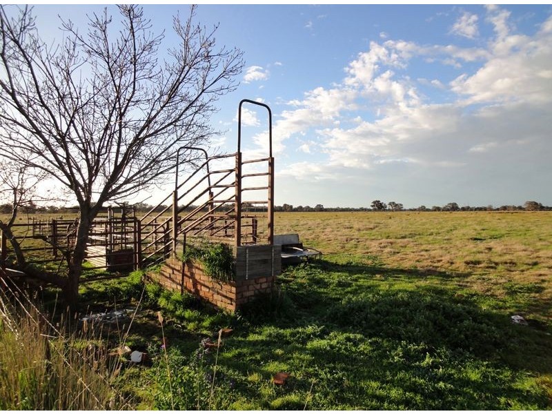 Wangaratta VIC 3677