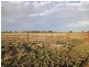 Wangaratta VIC 3677