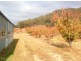 Wangaratta VIC 3677