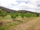 Wangaratta VIC 3677