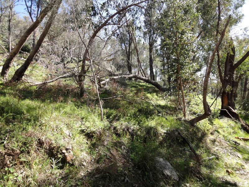 Wangaratta VIC 3677