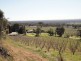 Wangaratta VIC 3677