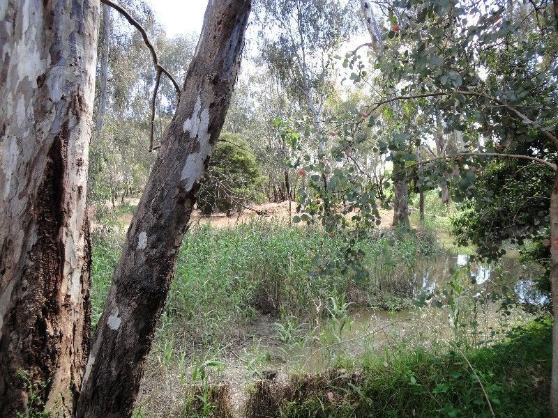 Wangaratta VIC 3677