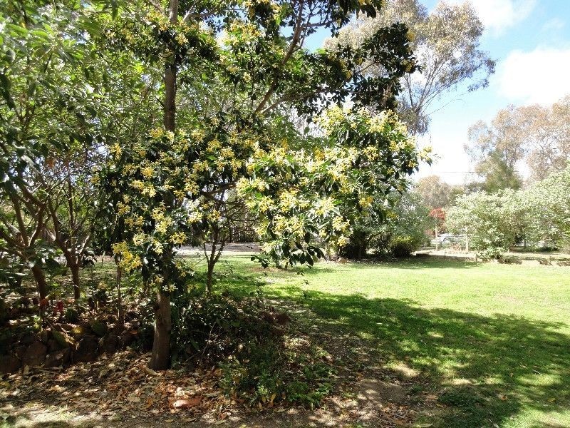 Wangaratta VIC 3677
