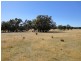 Killawarra VIC 3678