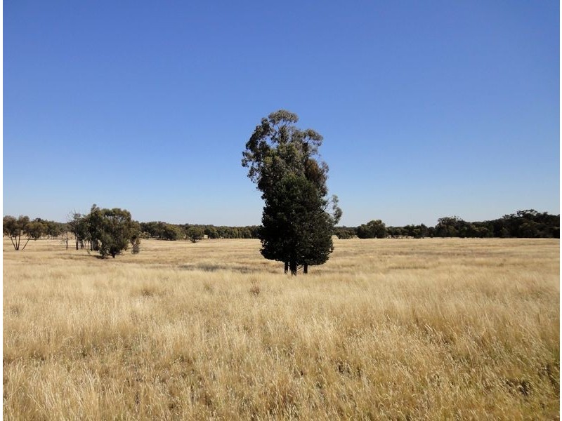 Killawarra VIC 3678