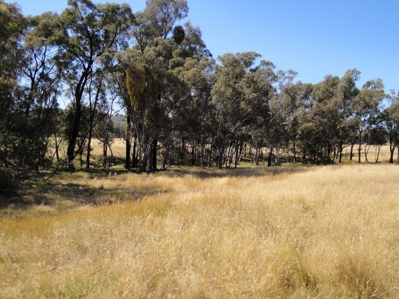 Killawarra VIC 3678