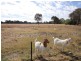 Wangaratta VIC 3677