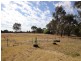 Wangaratta VIC 3677
