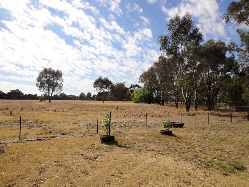 Wangaratta VIC 3677