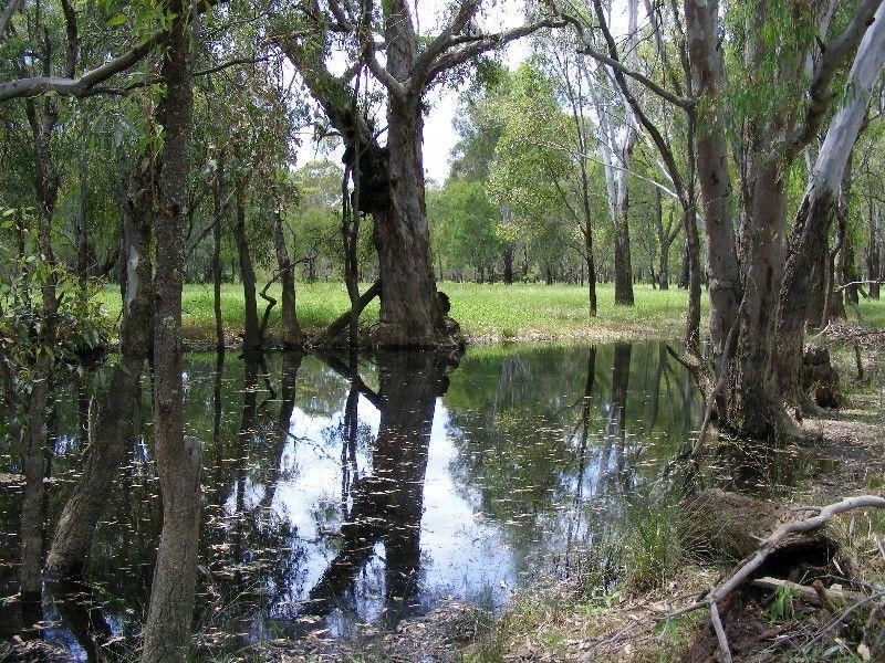 Wangaratta VIC 3677