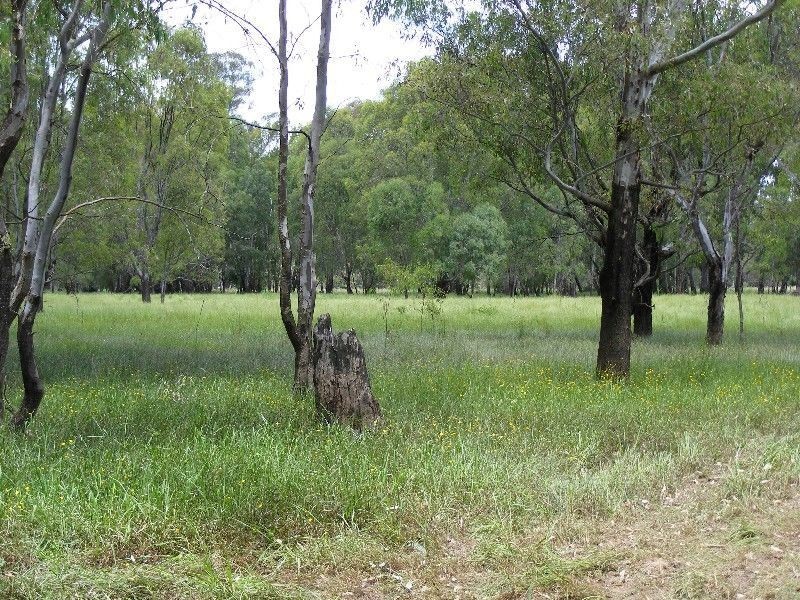 Wangaratta VIC 3677