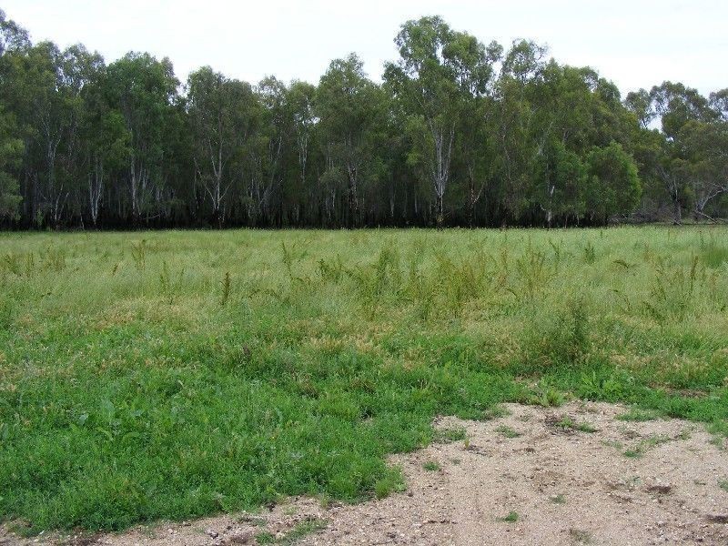 Wangaratta VIC 3677