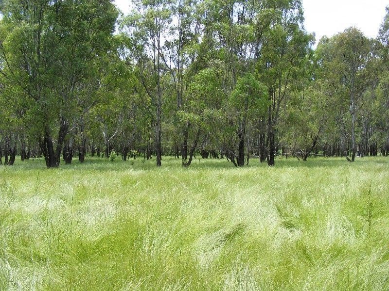 Wangaratta VIC 3677
