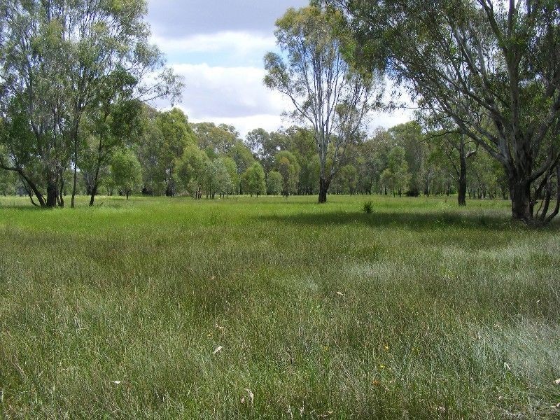 Wangaratta VIC 3677