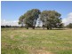 Wangaratta VIC 3677