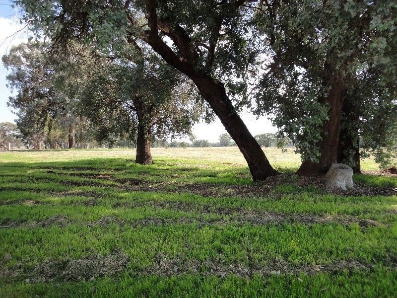 Wangaratta VIC 3677