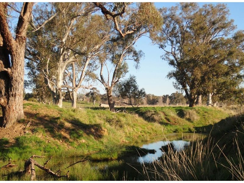 Wangaratta VIC 3677