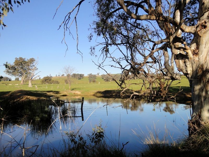 Wangaratta VIC 3677