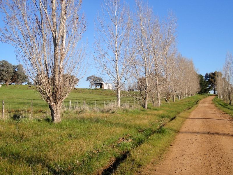 Wangaratta VIC 3677