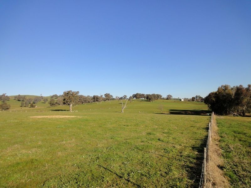 Wangaratta VIC 3677