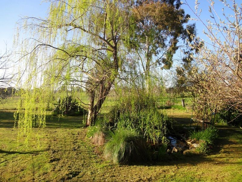 Wangaratta VIC 3677