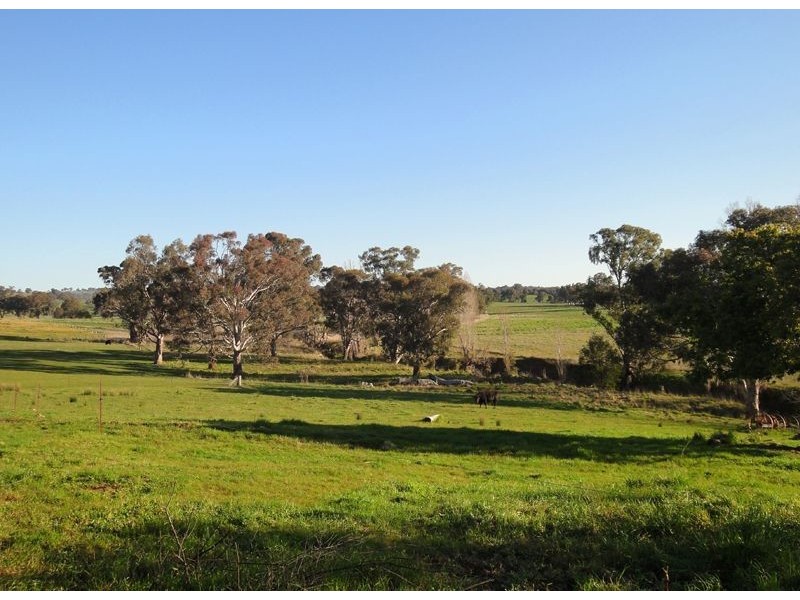 Wangaratta VIC 3677