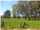 Wangaratta VIC 3677