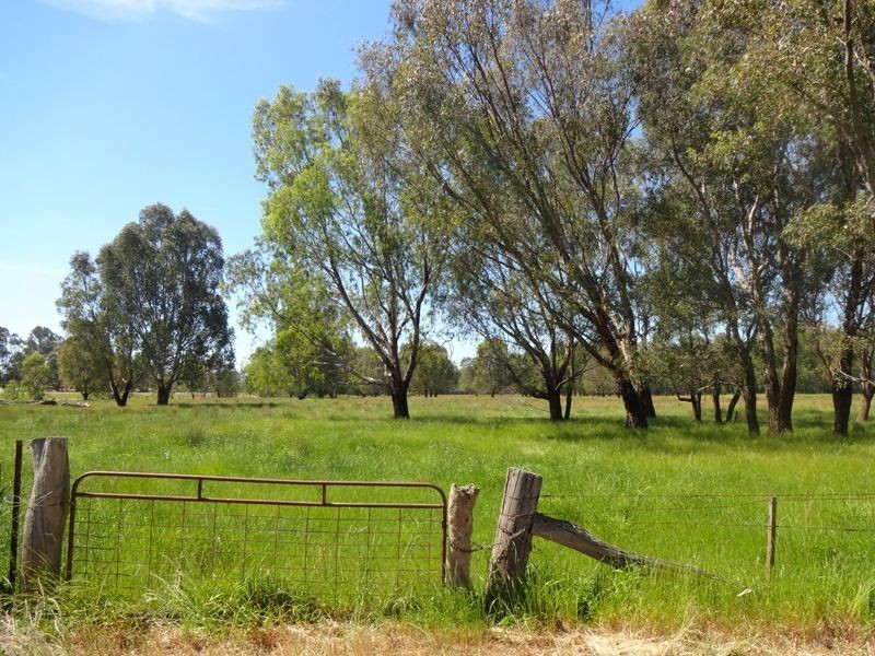 Wangaratta VIC 3677