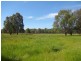 Wangaratta VIC 3677