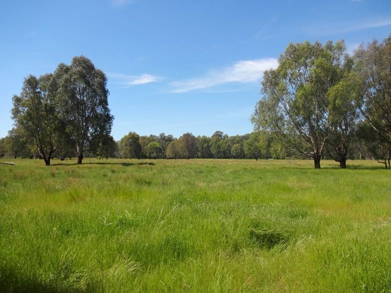 Wangaratta VIC 3677