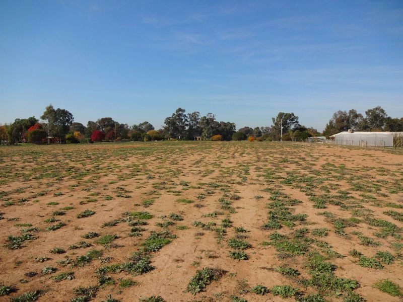 Wangaratta VIC 3677