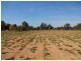 Wangaratta VIC 3677