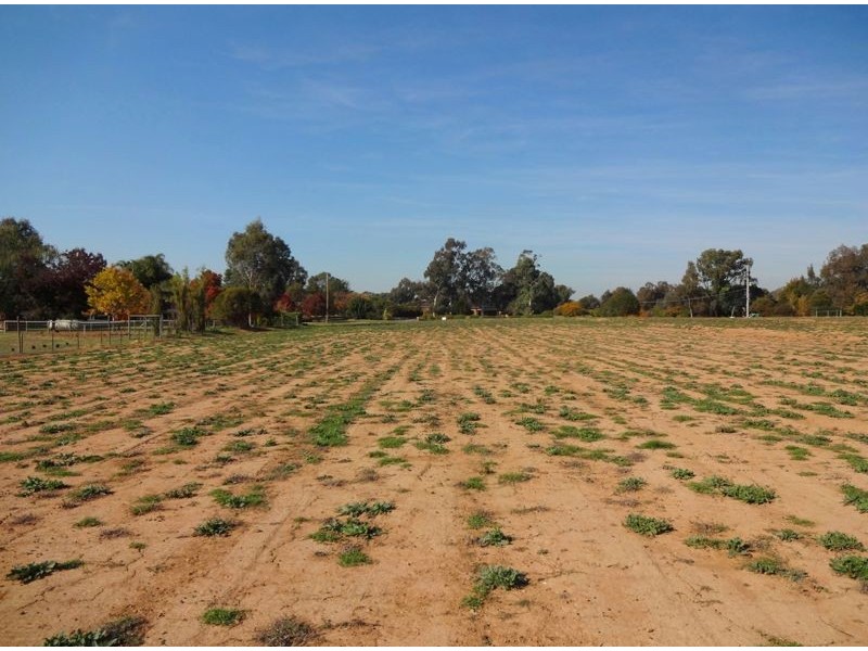 Wangaratta VIC 3677