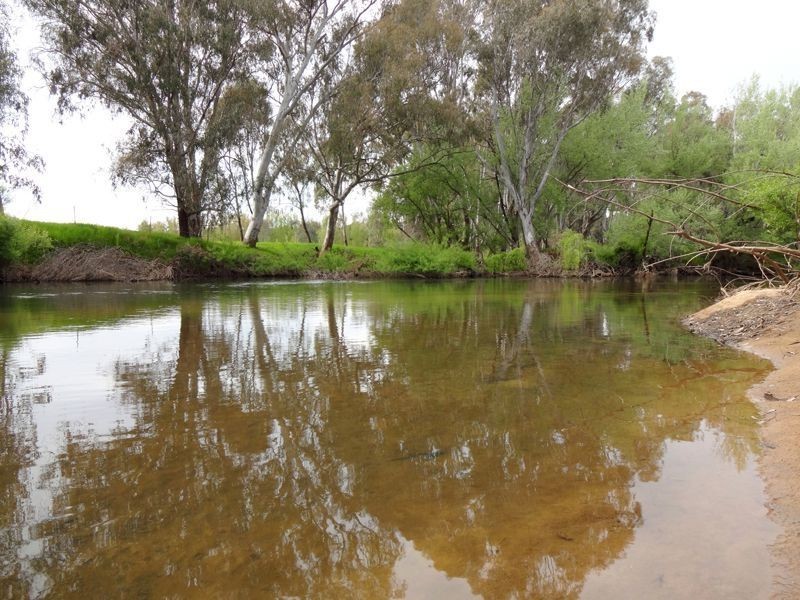 Wangaratta VIC 3677