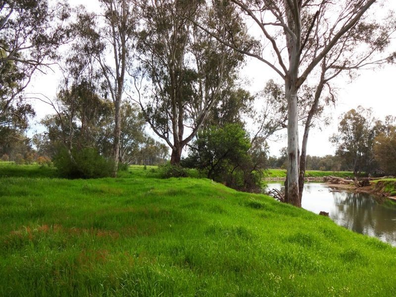 Wangaratta VIC 3677
